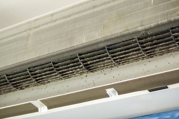 Best Air Duct Mold Removal  in Raytown, MO